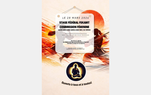 stage commission féminine