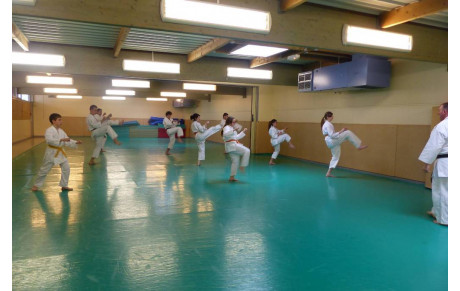 stage kata supérieur 11 4 15 à Bâgé la ville