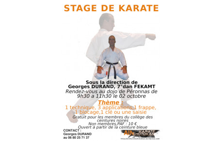 Stage de karaté ceintures noires G Durand