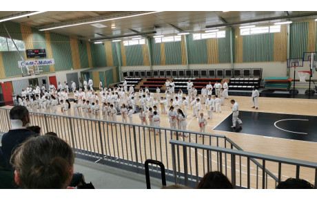 Coupe du Samourai